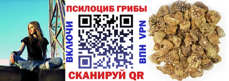 Галлюциногенные грибы Cubensis  даркнет формула  Чехов 